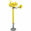 Global Industrial™ Emergency Eyewash Station, Pedestal Mount