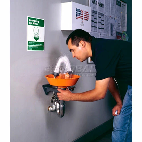 Guardian Equipment Eye Wash Fountain, G1814P - Image 3