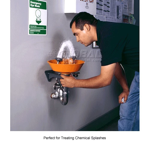 Guardian Equipment Eye Wash Fountain, G1814P - Image 6